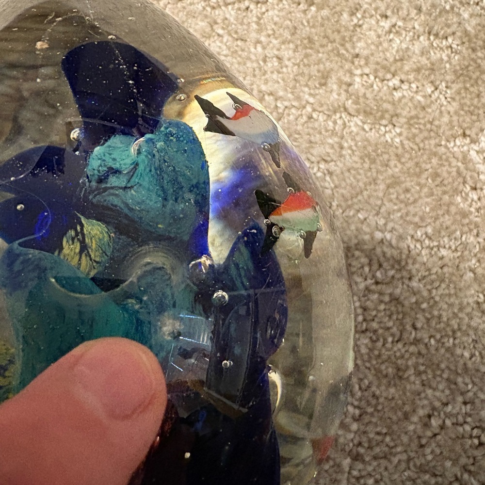 Paperweight Fish And Coral Under The Sea Aquarium Art Glass Murano Style - Picture 11 of 14